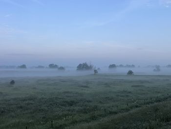 Scenic view of landscape against sky