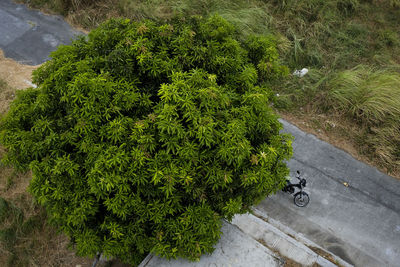 High angle view of bicycle on road in city