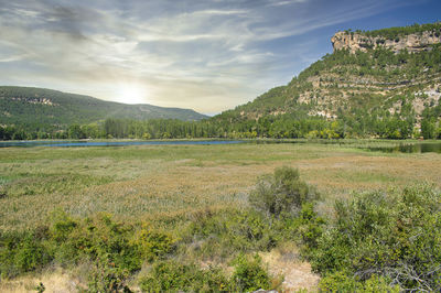 Scenic view of landscape against sky