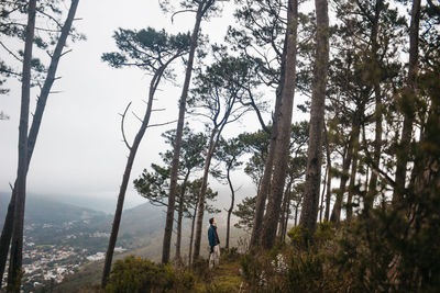 Side view of man standing amidst trees in forest