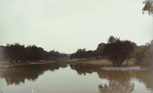 Reflection of trees in lake