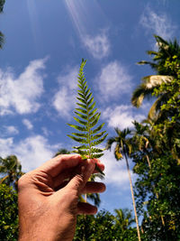 Midsection of person holding plant against sky