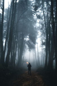 Rear view of man standing in forest against trees