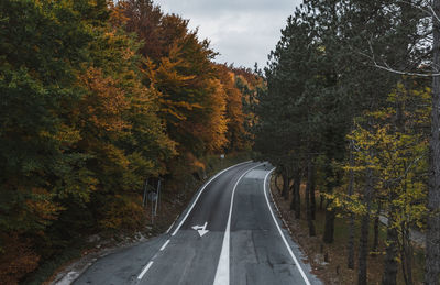 High angle view of empty road through forest in autumn.