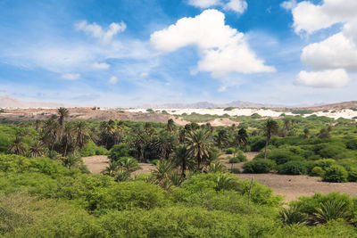 Scenic view of landscape against sky