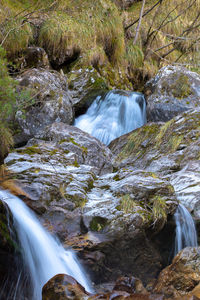 Scenic view of waterfall in forest