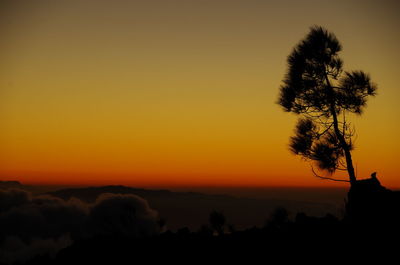 Silhouette tree against orange sky