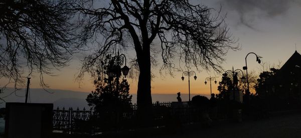 Silhouette trees by street against sky at sunset