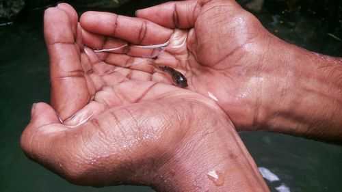 Close-up of hands holding fish in water over lake
