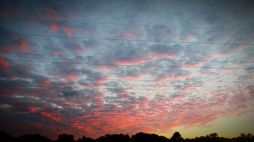 Low angle view of red birds against sky