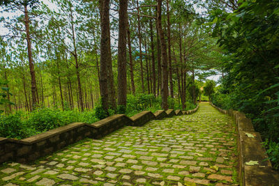 Stairs in dalat city