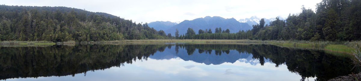 Reflection of trees in lake