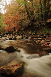 View of waterfall in forest during autumn