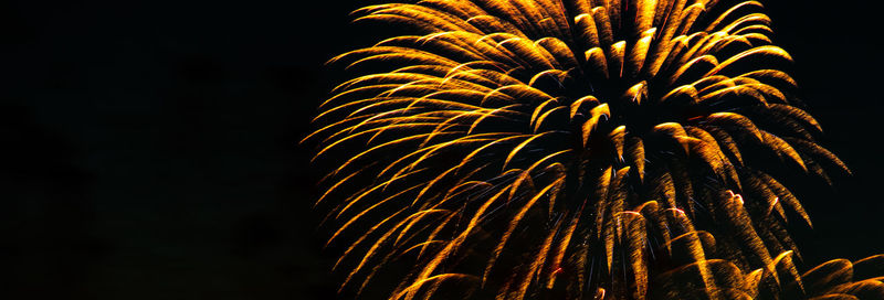 Low angle view of firework display at night