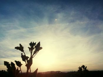 Scenic view of landscape against sky at sunset