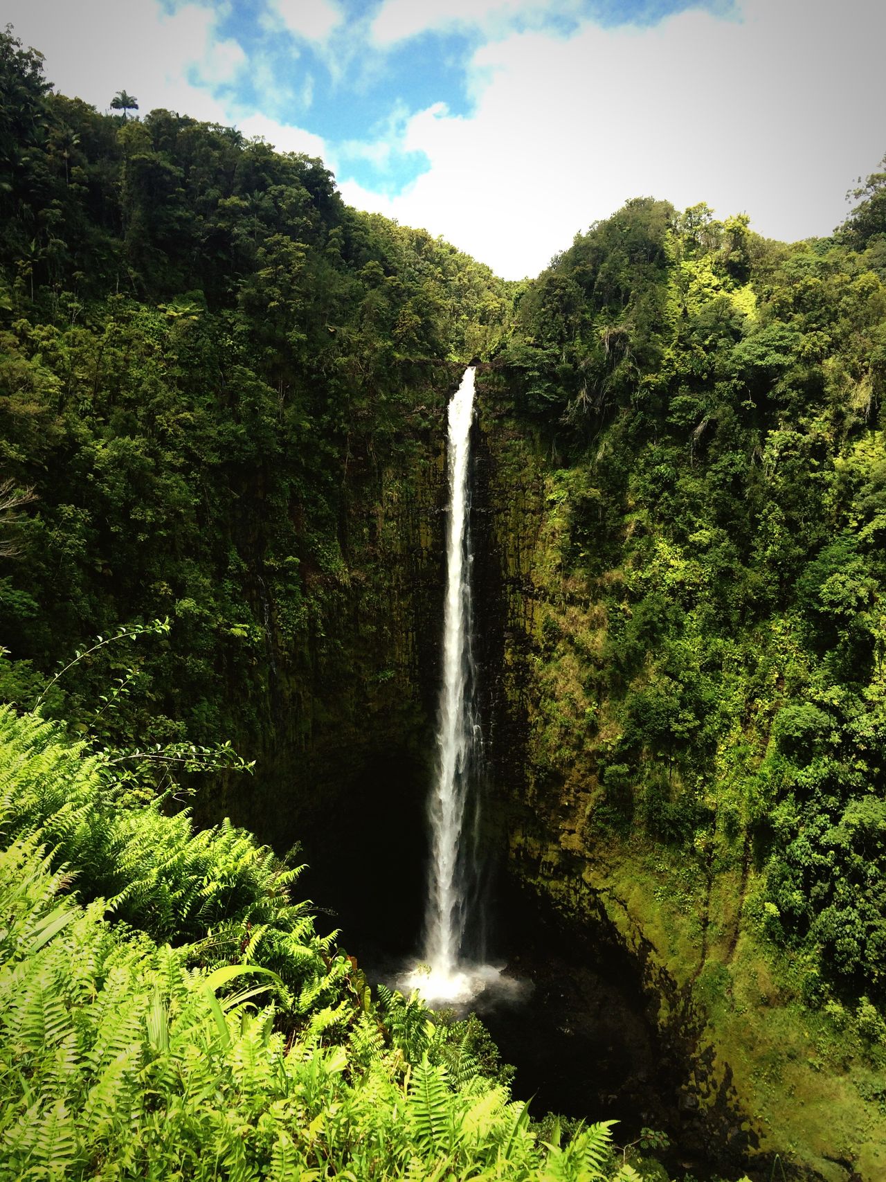 Akaka Falls