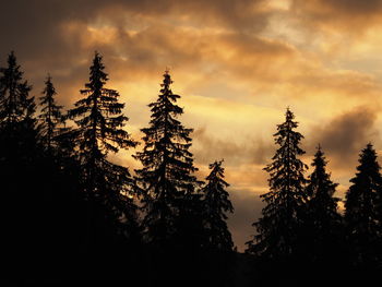 Silhouette trees in forest against sky at sunset