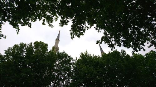 Low angle view of trees against sky
