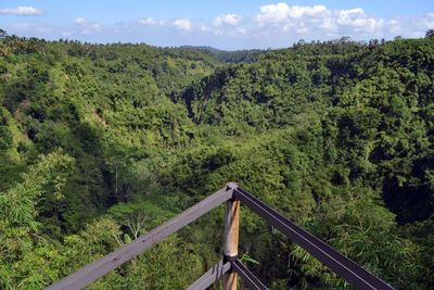 Scenic view of trees in forest against sky