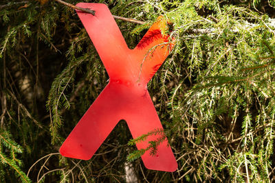 Close-up of arrow sign on field