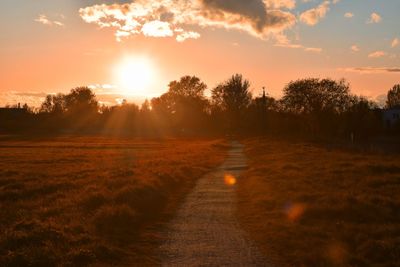 Trees on field against sky during sunset
