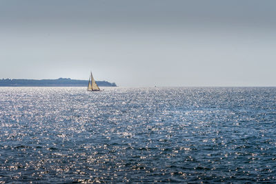 Sailboat sailing on sea against clear sky