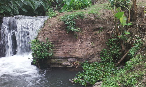 Scenic view of waterfall