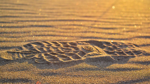 High angle view of footprints on sand