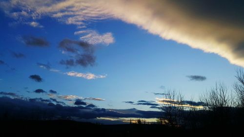 Low angle view of silhouette trees against blue sky