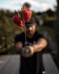 Close-up of person holding strawberry