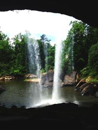 Scenic view of waterfall in forest