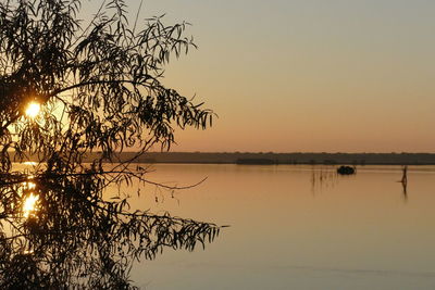 Silhouette tree by lake against sky during sunset