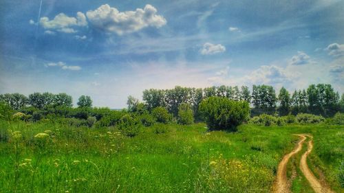 Scenic view of field against sky