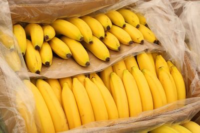 Yellow ripe bananas on the box for sale at market