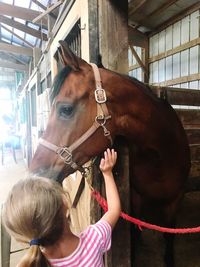 Midsection of woman with horse in stable