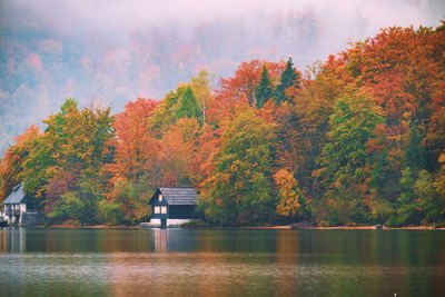 Trees by lake during autumn