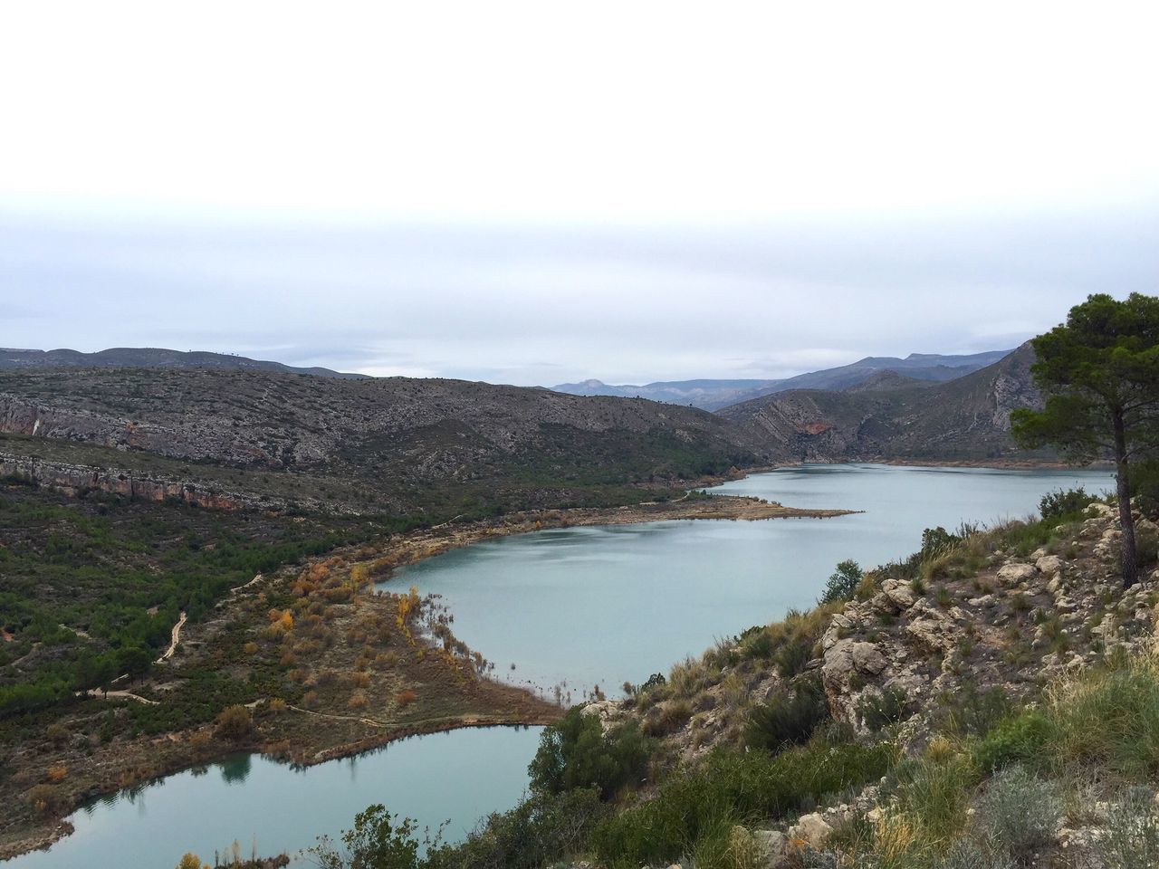 water, tree, nature, beauty in nature, lake, sky, growth, scenics, day, no people, tranquil scene, tranquility, outdoors, mountain