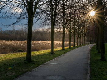 Road amidst bare trees against sky