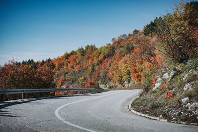 Road amidst trees against sky during autumn