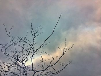 Low angle view of silhouette tree against sky at sunset