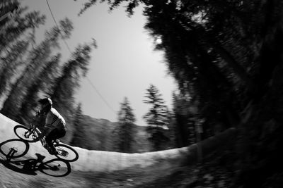 Low angle view of bicycle against trees