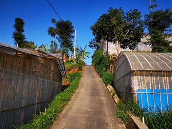 Footpath amidst trees against clear blue sky