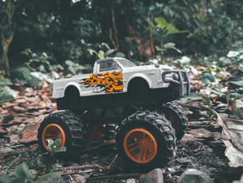 Toy vehicle on field in forest