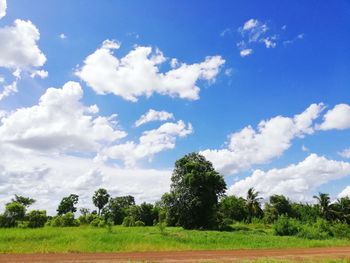 Trees on field against sky