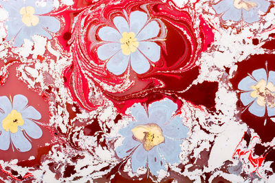 High angle view of red rose floating on water
