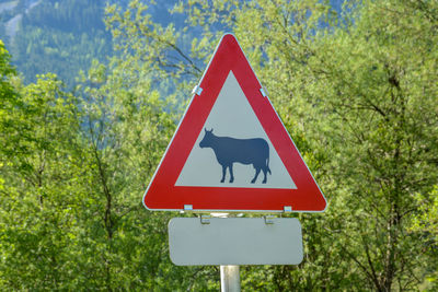 Close-up of road sign against trees