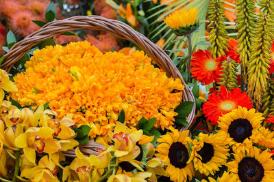 Close-up of yellow flowering plants