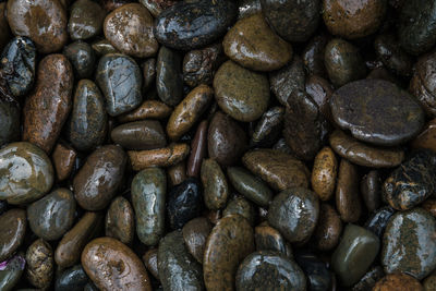 Full frame shot of coffee beans