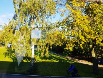 Man walking in park during autumn