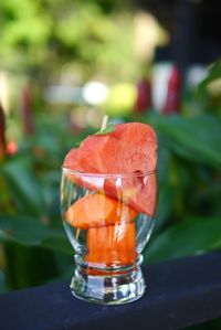 Close-up of orange juice